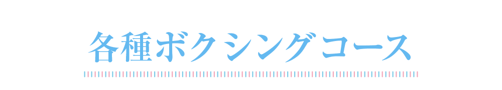 各種ボクシングコース